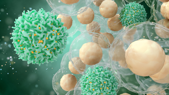 R1- Immunomodulation and checkpoint inhibition