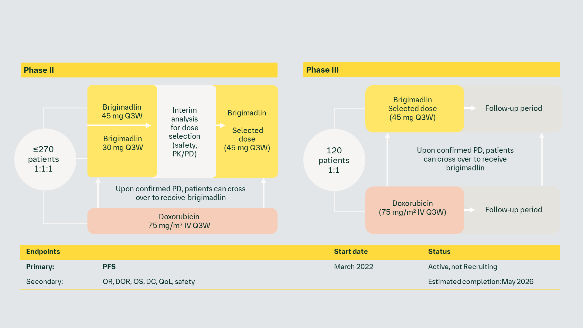 A Phase II/III, randomized, open-label, multicenter study of brigimadlin (MDM2-p53 antagonist) compared to doxorubicin as first-line treatment of patients with advanced dedifferentiated liposarcoma (NCT05218499)