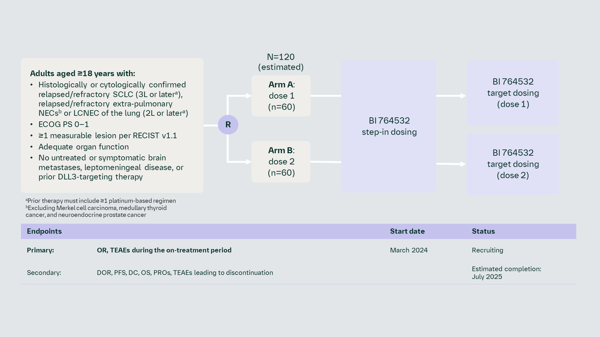 Phase II trial of our DLL3/CD3 T-cell engager (BI 764532) in the treatment of SCLC
