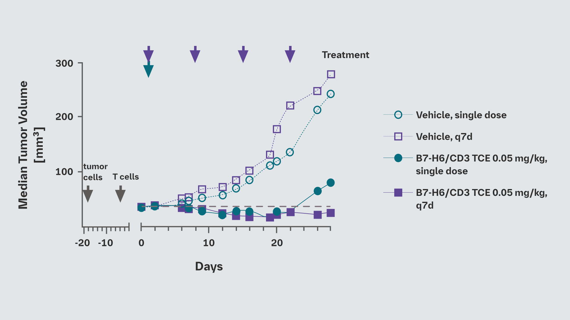 In vivo efficacy of B7-H6/CD3 TCE in CRC cell line–derived xenograft model
