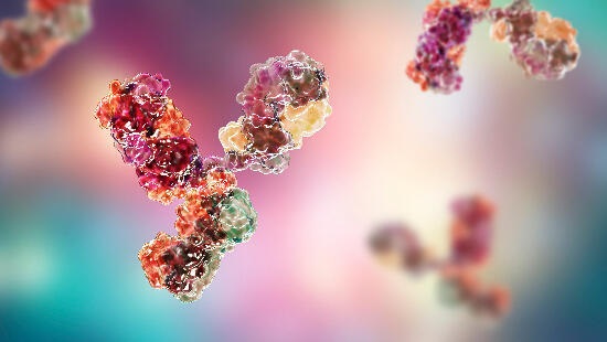 Example of cells and the ezabenlimab (PD-1 inhibitor)
