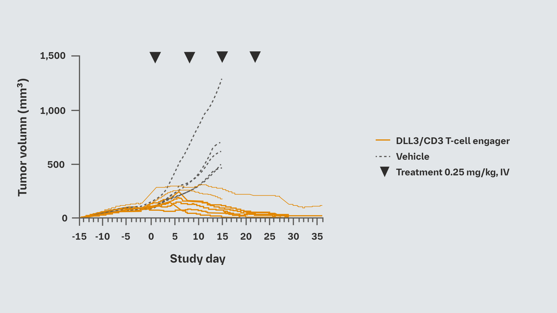In vivo efficacy of DLL3/CD3 T-cell engager in humanized SCLC xenograft model