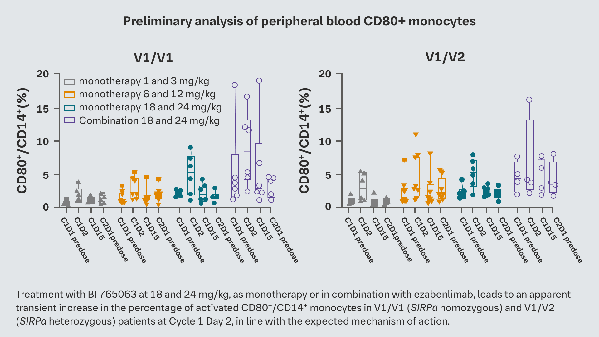 Preliminary analysis of peripheral blood CD80+ monocytes chart