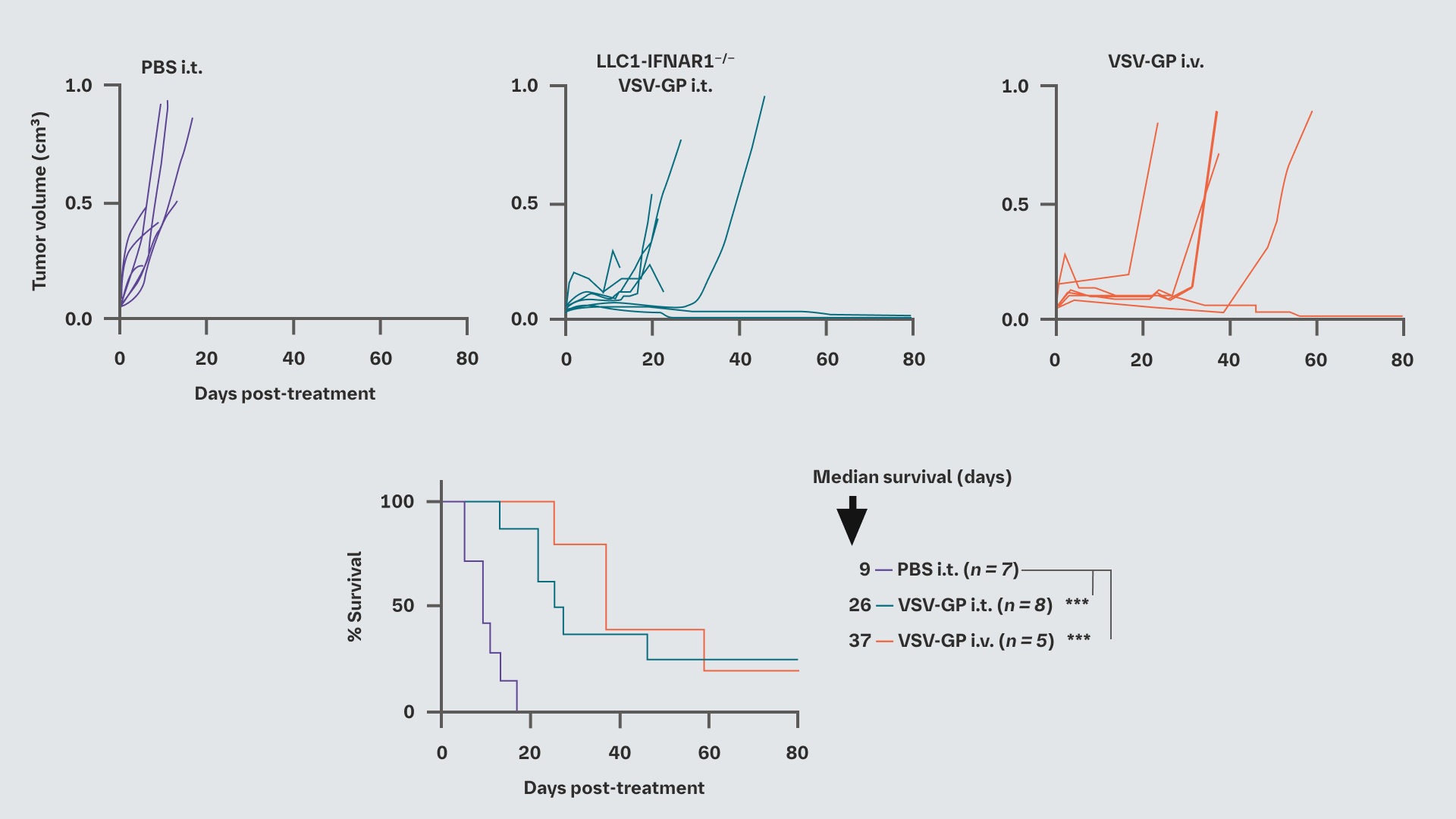 VSV-GP treatment leads to tumor remission and prolonged survival in a murine lung cancer tumor model charts