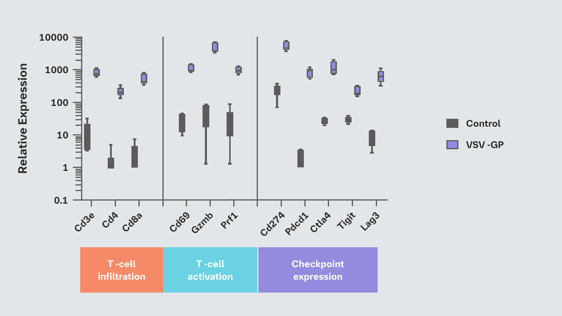 VSV-GP induces a pro-inflammatory microenvironment within infected tumors and increases T-cell infiltration chart