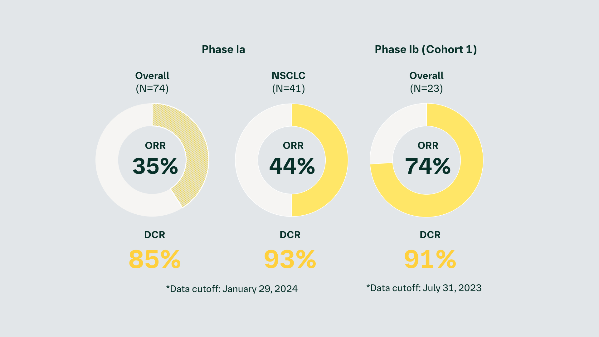Beamion LUNG-1 (1479-0001): Preliminary Phase I efficacy data